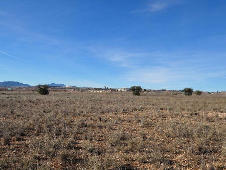 Plot for Sale in Pinoso, Alicante 4