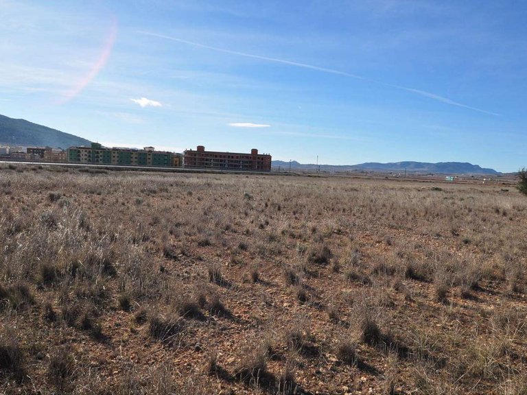 Plot for Sale in Pinoso, Alicante 5