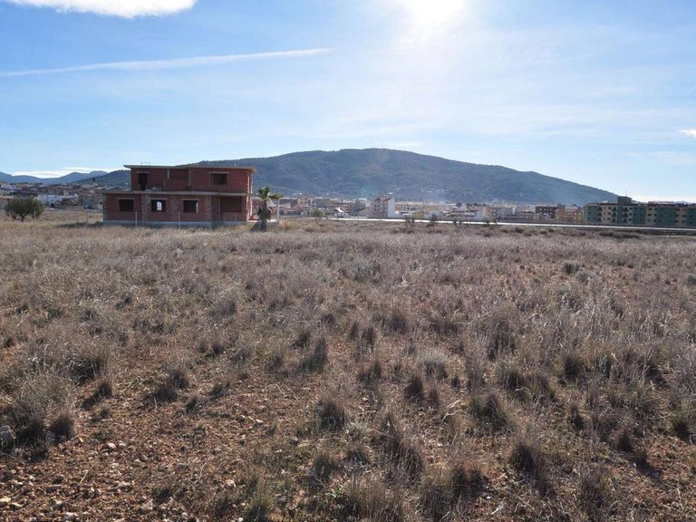 Plot for Sale in Pinoso, Alicante 6