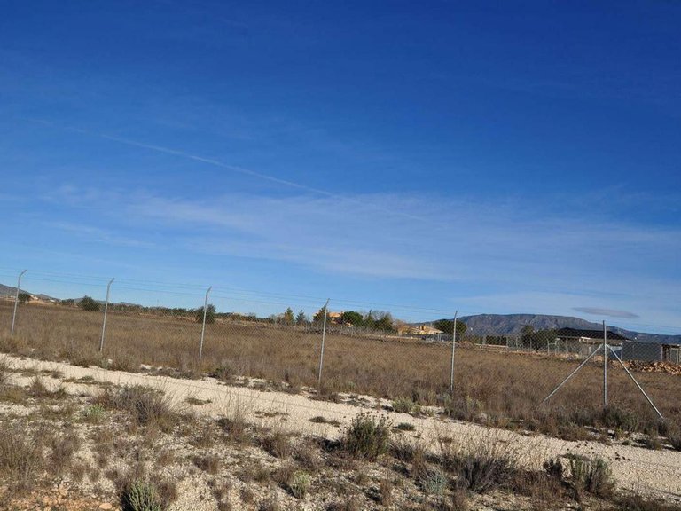 Plot for Sale in Pinoso, Alicante 7