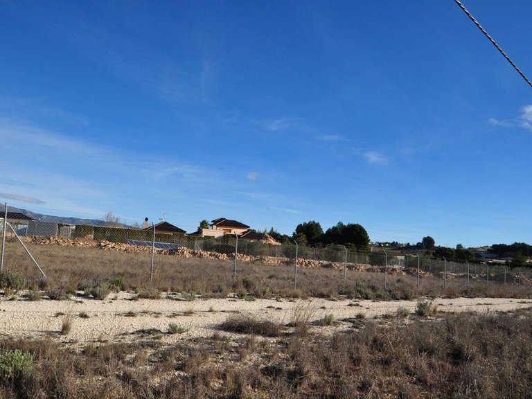 Plot for Sale in Pinoso, Alicante 8