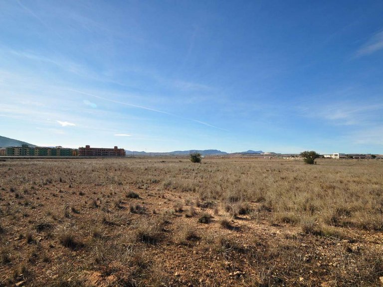 Plot for Sale in Pinoso, Alicante 14