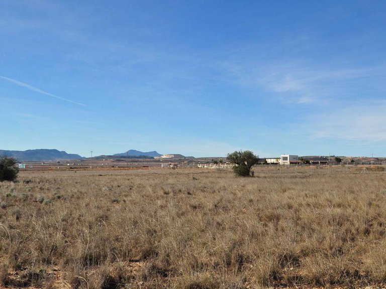 Plot for Sale in Pinoso, Alicante 15