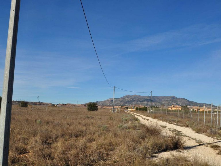 Plot for Sale in Pinoso, Alicante 16