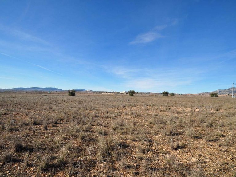 Plot for Sale in Pinoso, Alicante 18