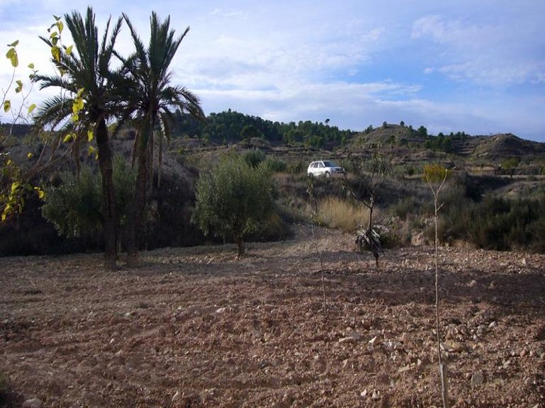 Town House for Sale in Macisvenda, Murcia 9