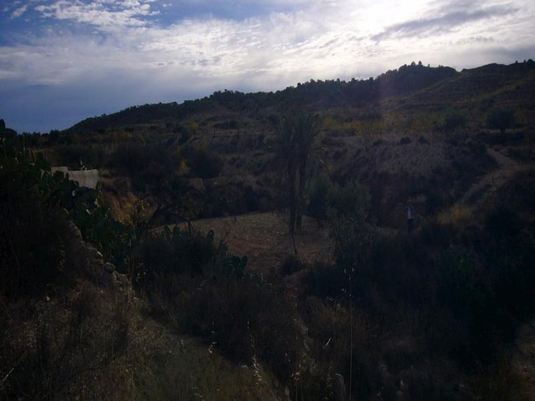 Town House for Sale in Macisvenda, Murcia 19