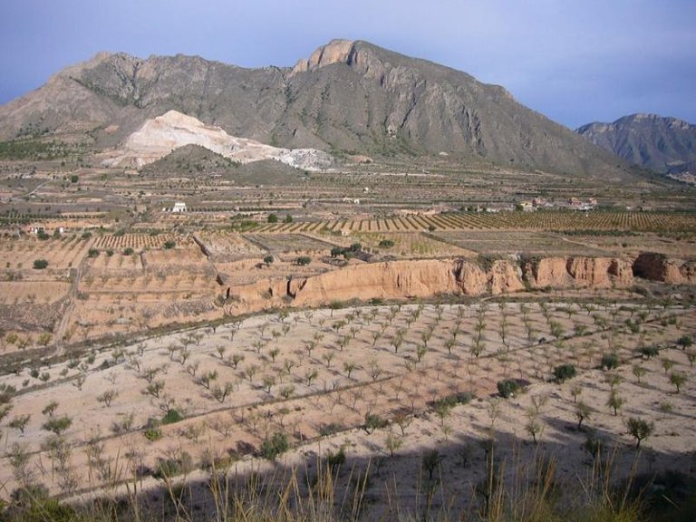 Town House for Sale in Macisvenda, Murcia 17