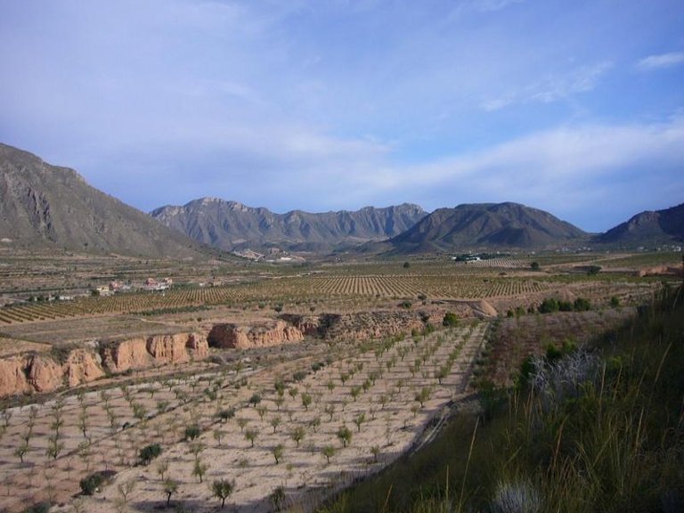 Town House for Sale in Macisvenda, Murcia 15