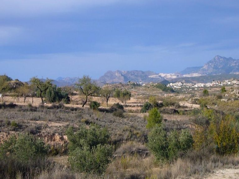 Town House for Sale in Macisvenda, Murcia 3