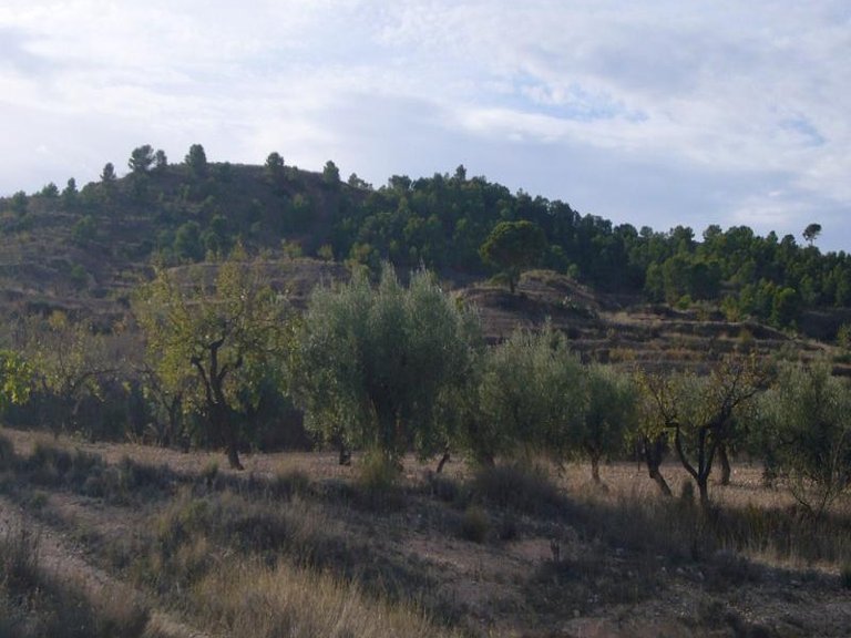 Town House for Sale in Macisvenda, Murcia 2