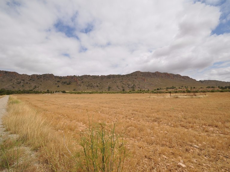 Tomt till salu i Yecla, Murcia 10