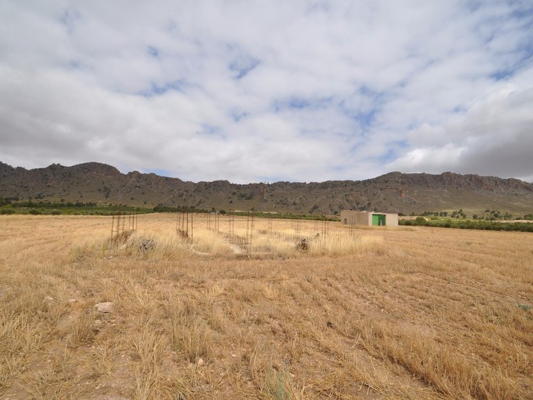 Tomt till salu i Yecla, Murcia 5