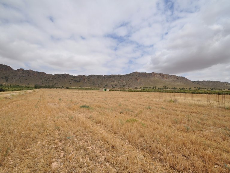 Tomt till salu i Yecla, Murcia 14