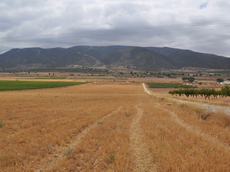 Tomt till salu i Yecla, Murcia 8