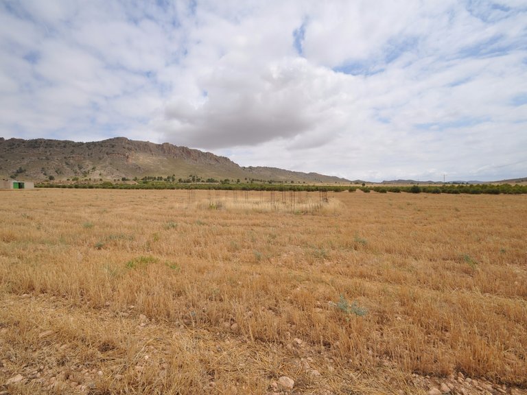 Tomt till salu i Yecla, Murcia 11