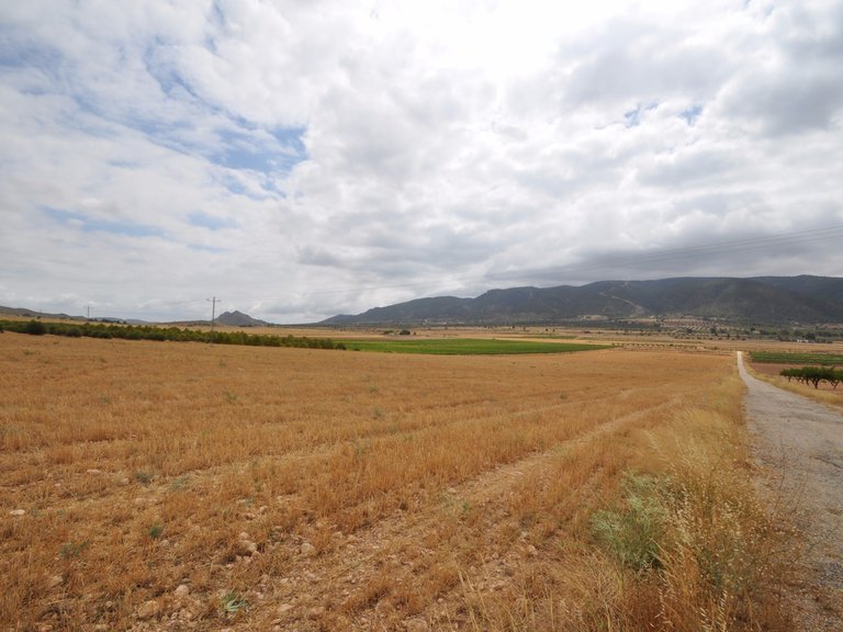 Tomt till salu i Yecla, Murcia 9