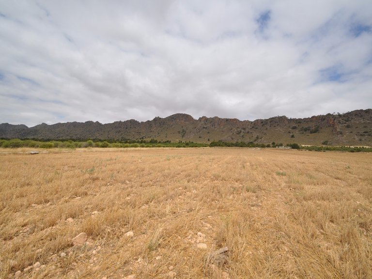 Tomt till salu i Yecla, Murcia 12