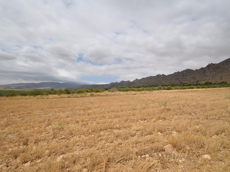 Tomt till salu i Yecla, Murcia 13