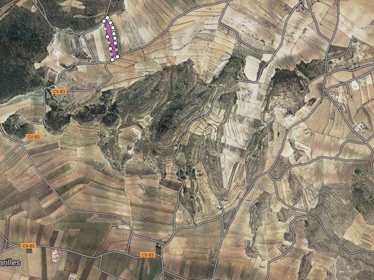 Plot for Sale in Pinoso, Alicante 2