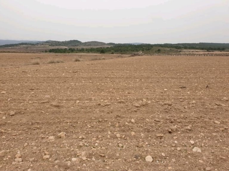 Plot for Sale in Pinoso, Alicante 2