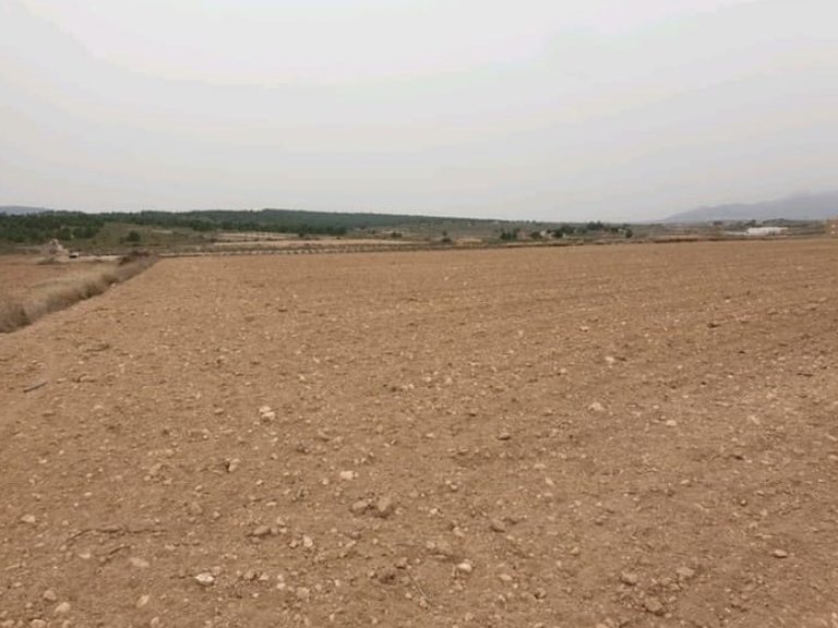 Plot for Sale in Pinoso, Alicante 4
