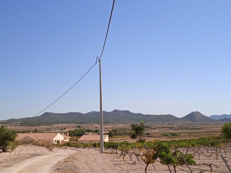 Plot for Sale in Pinoso, Alicante 7
