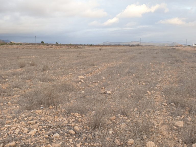 Plot for Sale in Pinoso, Alicante 3