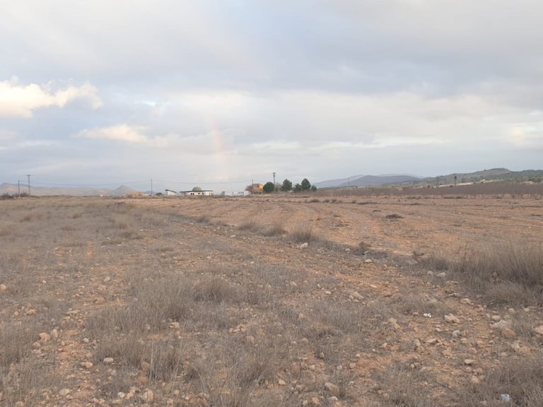 Plot for Sale in Pinoso, Alicante 6
