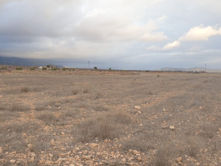 Plot for Sale in Pinoso, Alicante 1