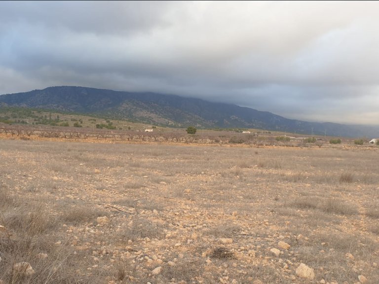 Plot for Sale in Pinoso, Alicante 2