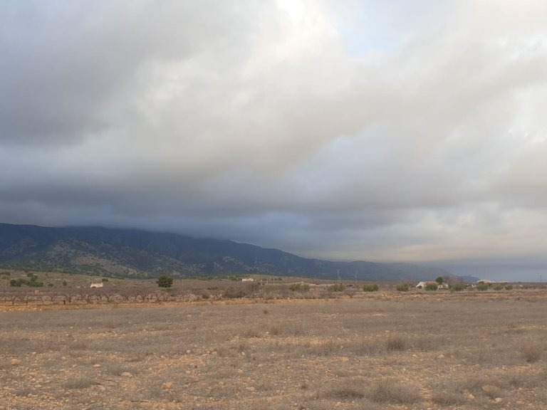 Plot for Sale in Pinoso, Alicante 5
