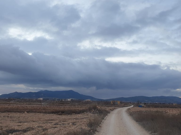 Plot for Sale in Pinoso, Alicante 1