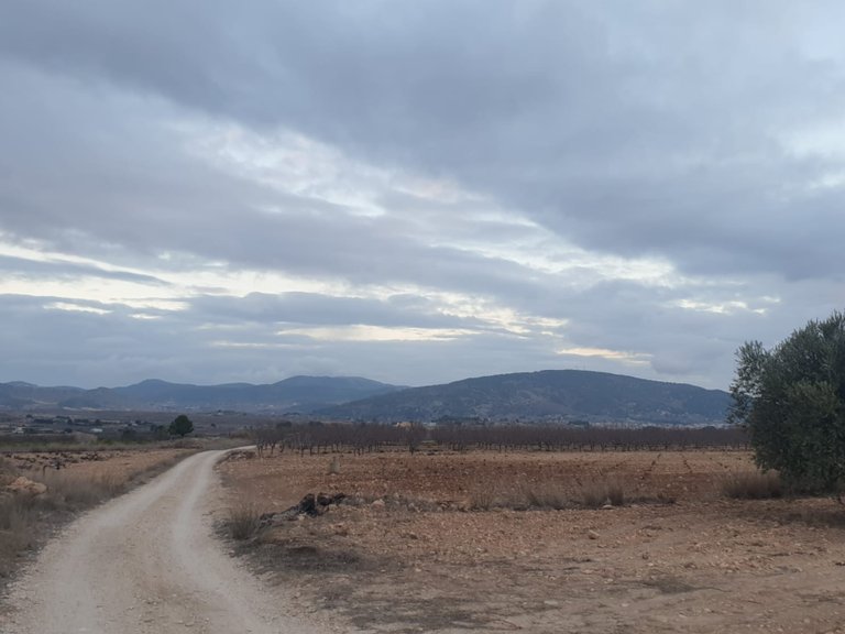 Plot for Sale in Pinoso, Alicante 2