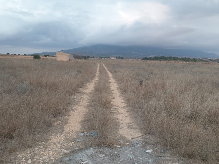 Plot for Sale in Pinoso, Alicante 3
