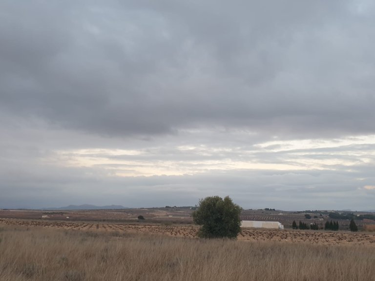 Plot for Sale in Pinoso, Alicante 5