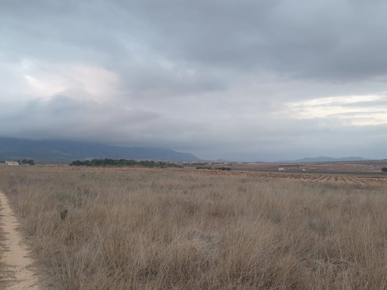 Plot for Sale in Pinoso, Alicante 6