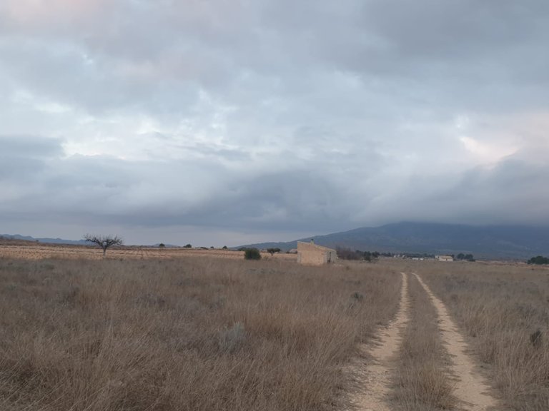 Plot for Sale in Pinoso, Alicante 7