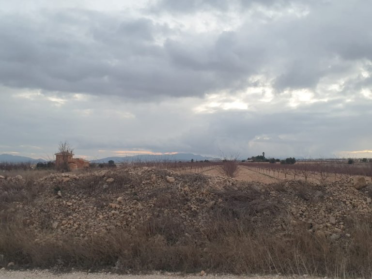 Plot for Sale in Pinoso, Alicante 2