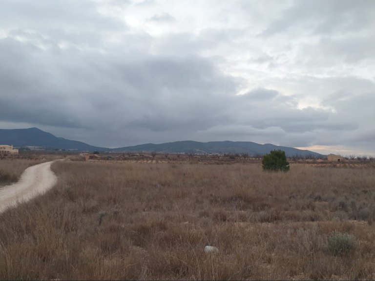 Plot for Sale in Pinoso, Alicante 5