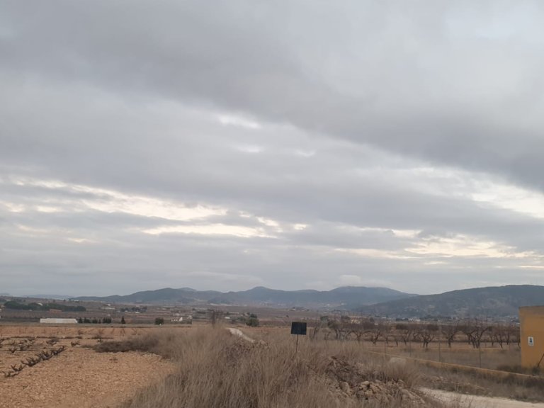 Plot for Sale in Pinoso, Alicante 6