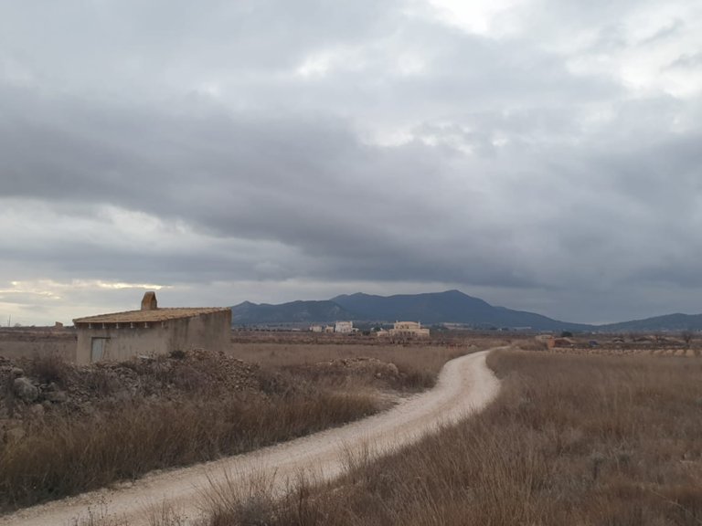 Plot for Sale in Pinoso, Alicante 7