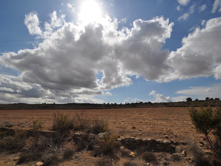 Plot for Sale in Pinoso, Alicante 7