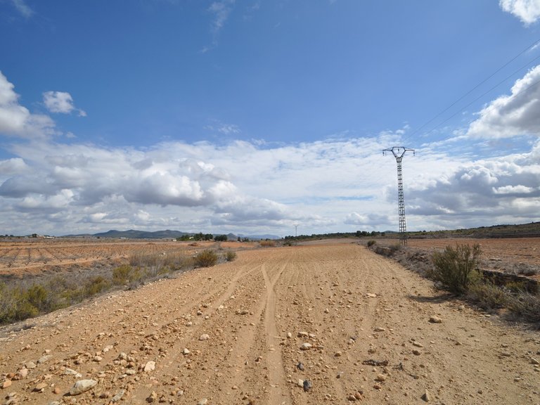 Plot for Sale in Pinoso, Alicante 6