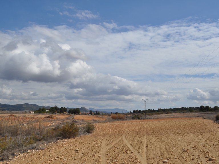 Plot for Sale in Pinoso, Alicante 5