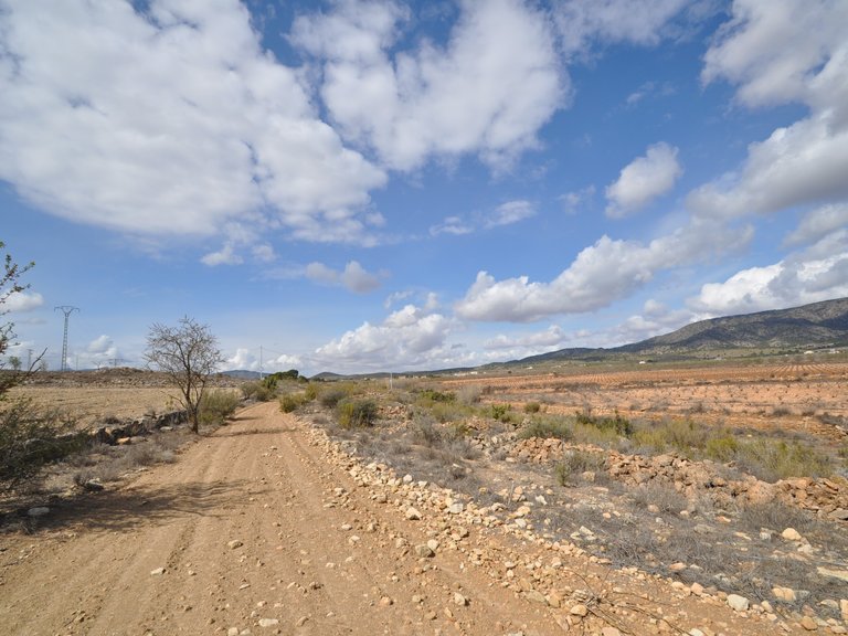 Plot for Sale in Pinoso, Alicante 4