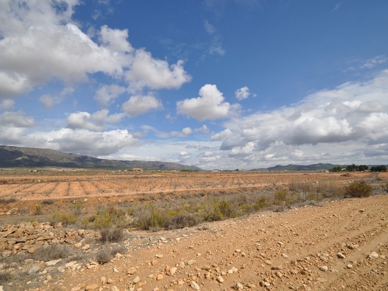 Plot for Sale in Pinoso, Alicante 2