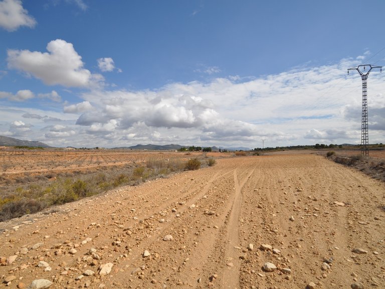 Plot for Sale in Pinoso, Alicante 1