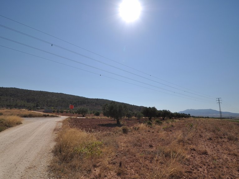 Plot for Sale in Pinoso, Alicante 7