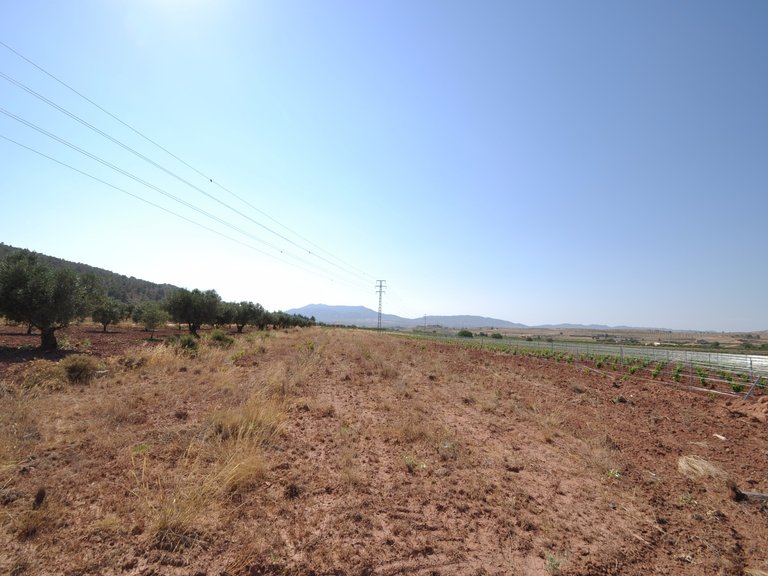 Plot for Sale in Pinoso, Alicante 8